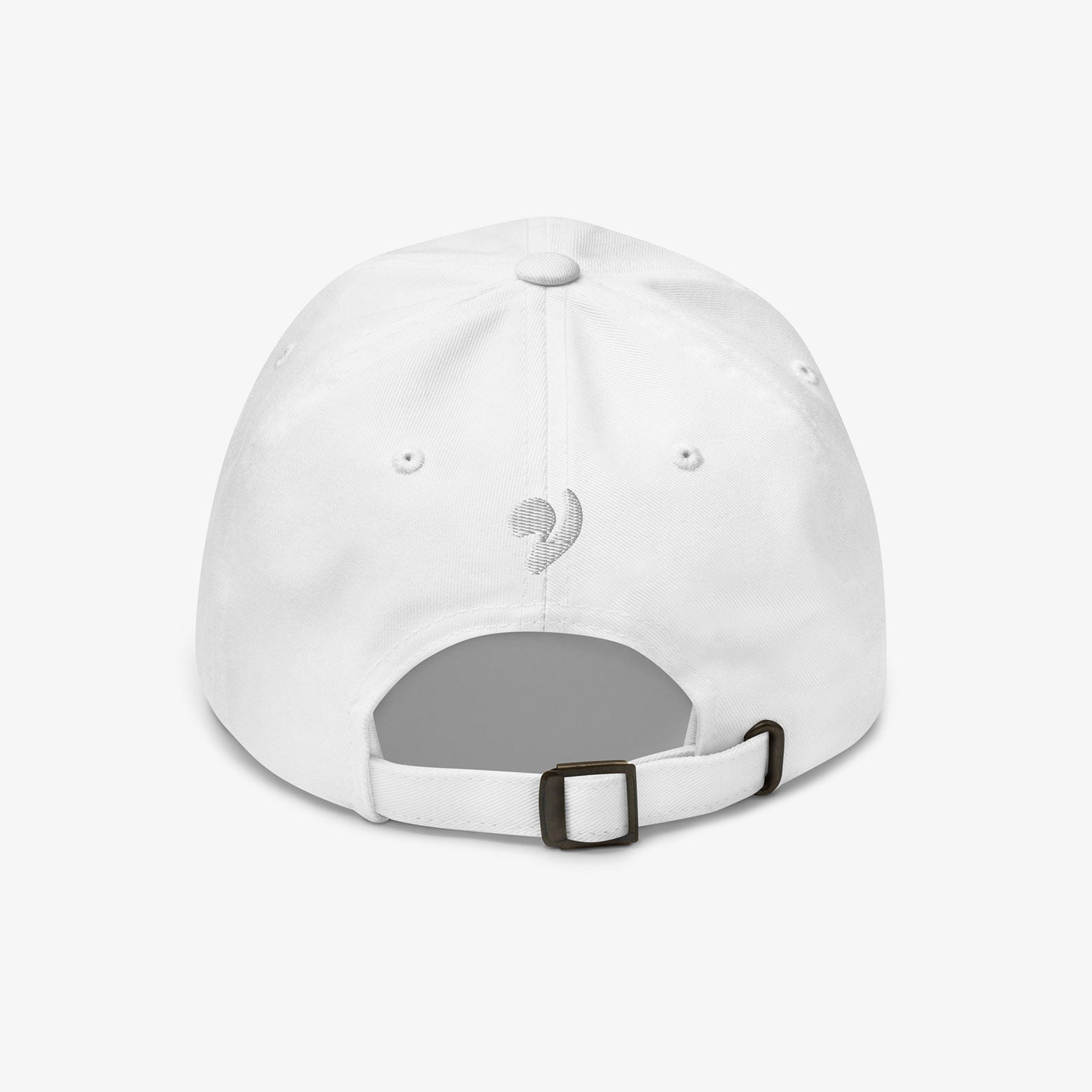 VLAM embroidered cap in all the colours